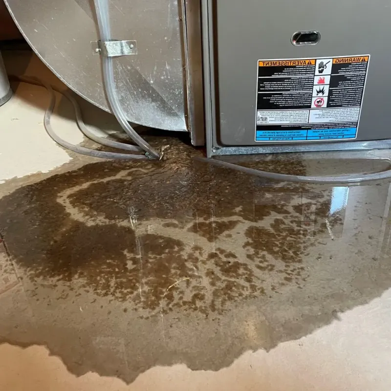 Pipe Burst and Leak Restoration in Ashaway, RI