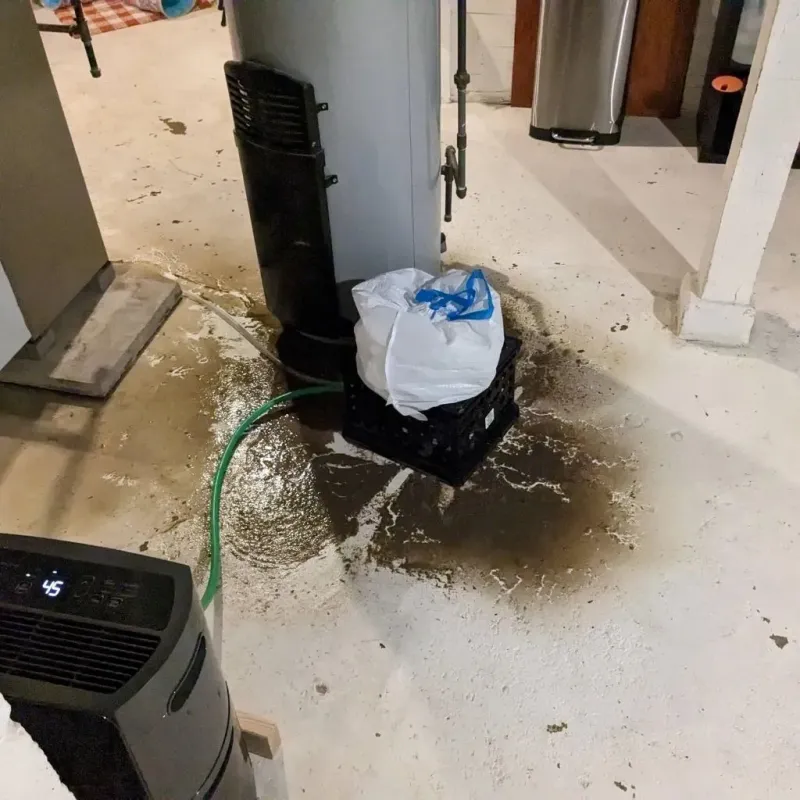 Sewage Backup Cleanup Service in Ashaway, RI